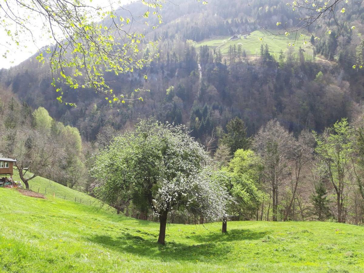 Panorama Jurte Ueber Dem Uri-See A Sisikon Zewnętrze zdjęcie